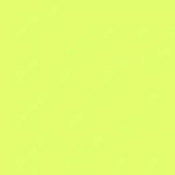 Profile image of 伊波ライ