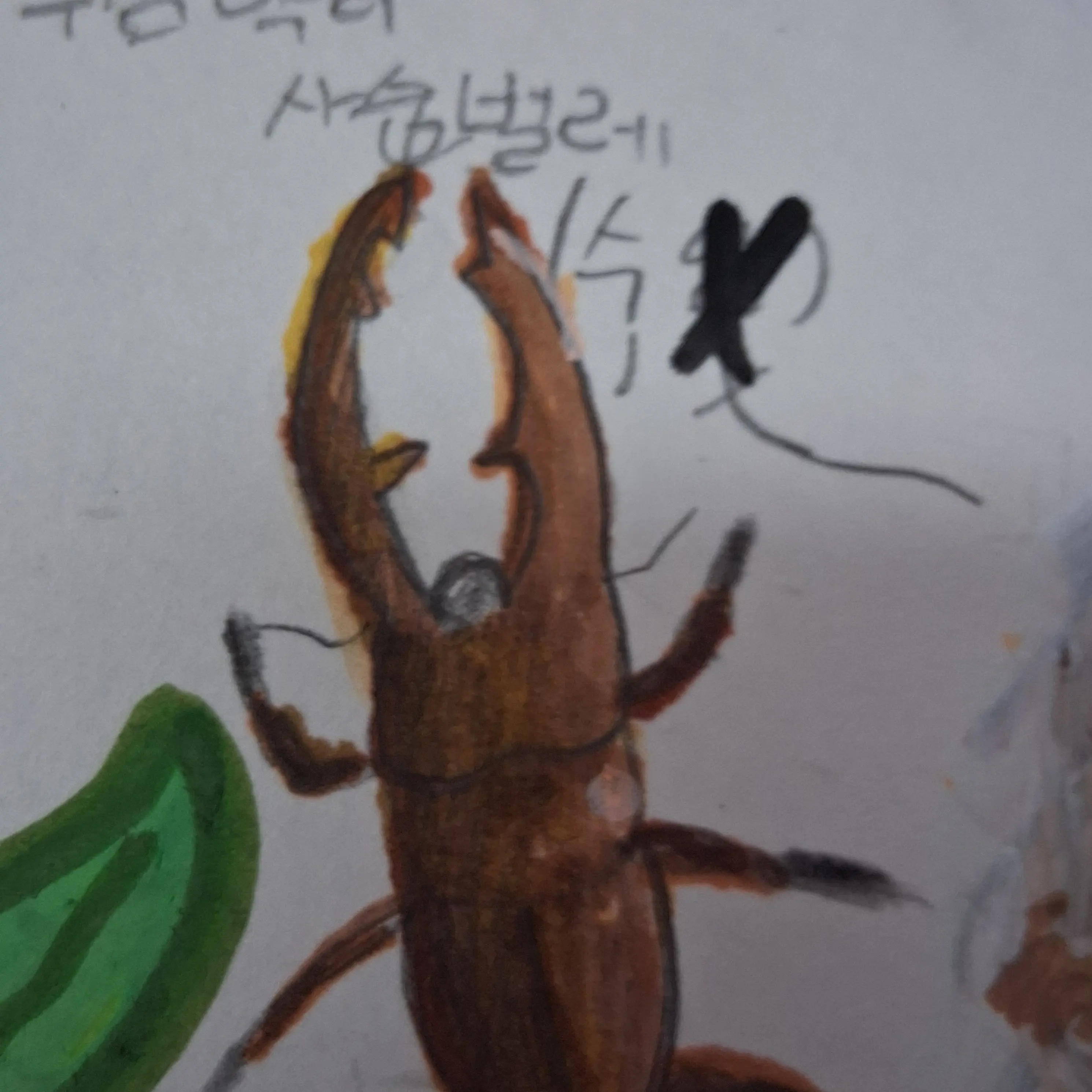 StrictMoney6942의 우리 오빠들은 주다