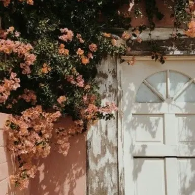 Profile image of 은지