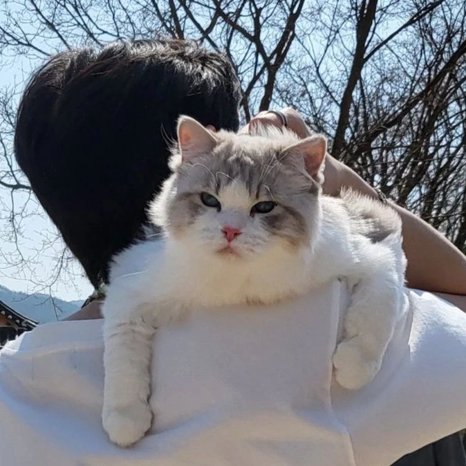 정상현