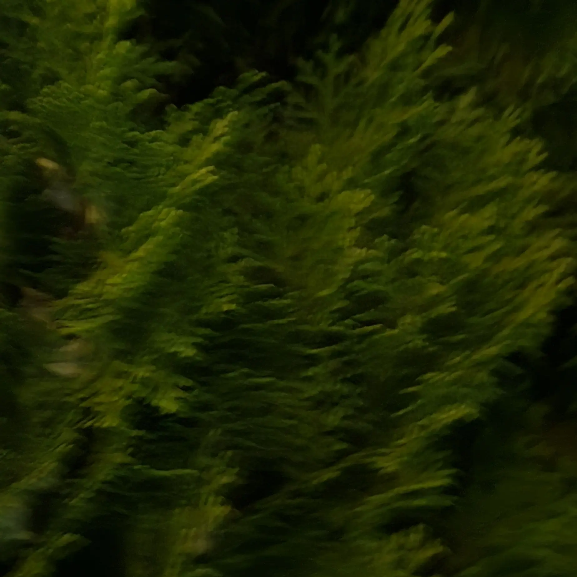 Cvb의 제인 도 방귀(그림 너무 못그림ㅠ)