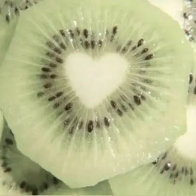 Profile image of 공룡