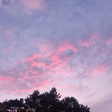 Profile image of 미수반2와 팀샐러드