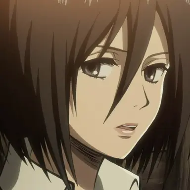 Profile image of ミカサ