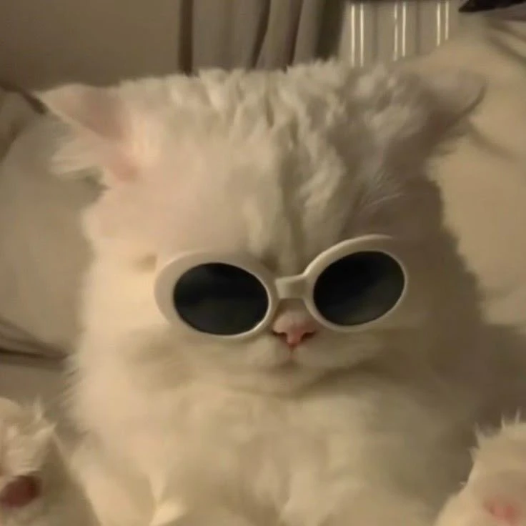 명재현