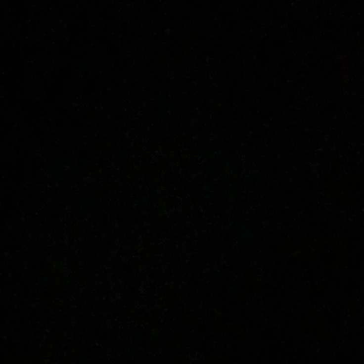 혜안져스