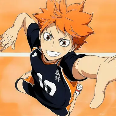 Profile image of Hinata Shoyo
