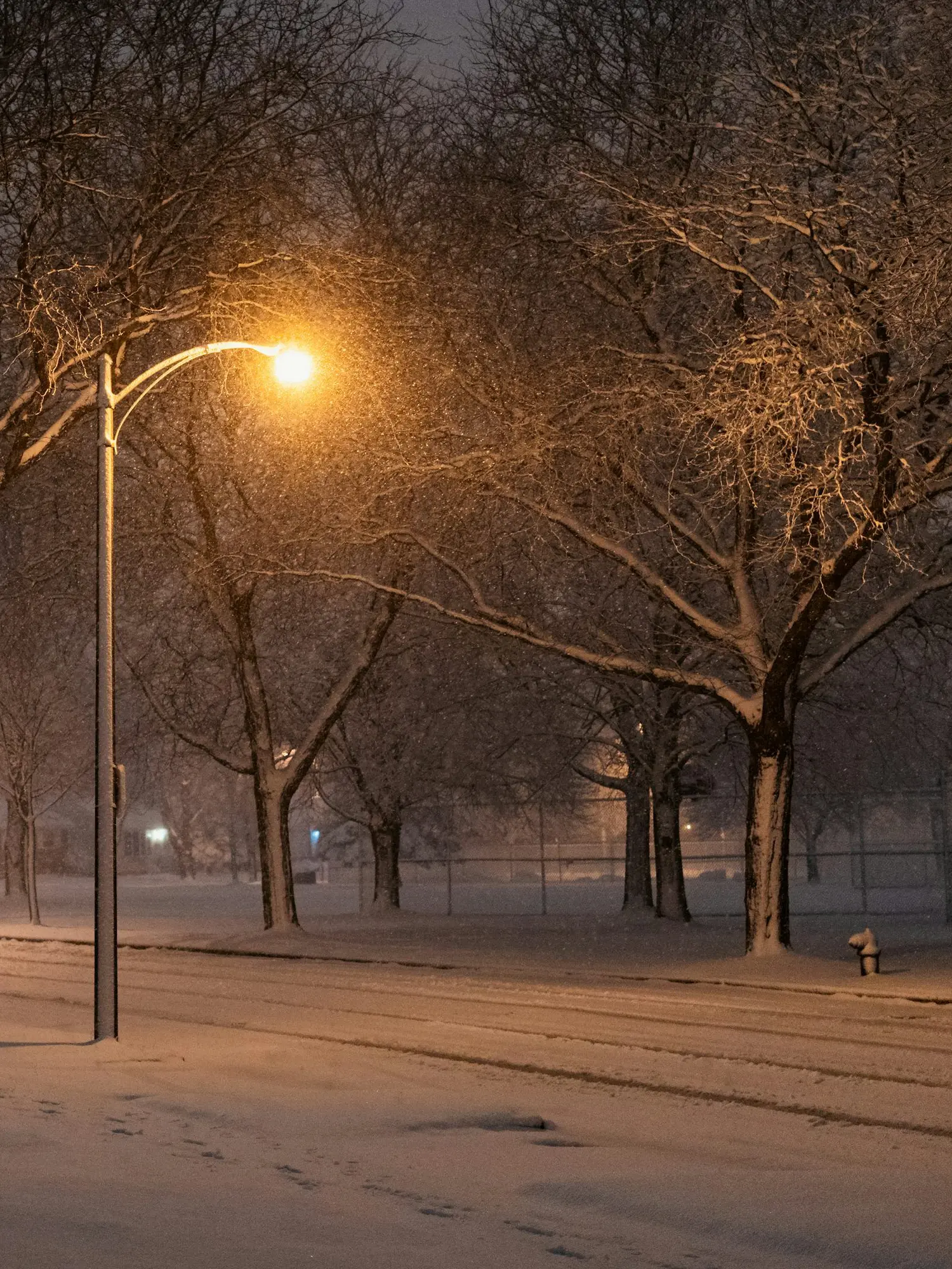 VitalJuice9822의 규현