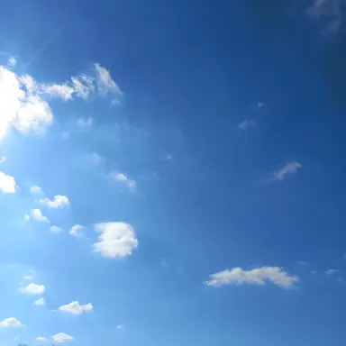 Profile image of 유기사