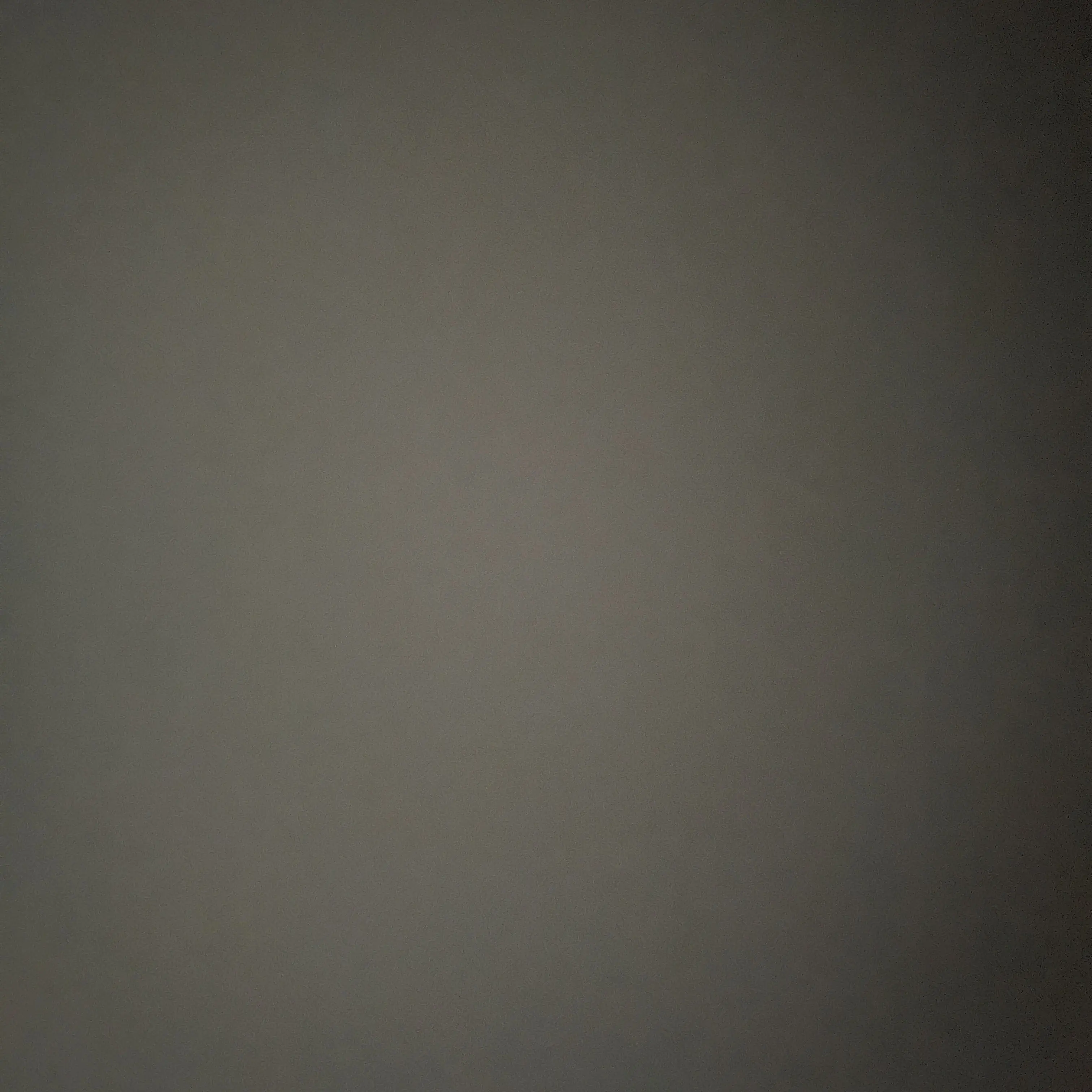 EthnicPages6872의 오스카 피아스트리