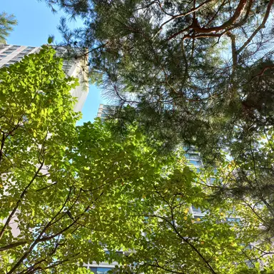 Profile image of 시나즈가와 사네미