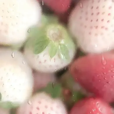 Profile image of 류 현