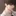 유현진