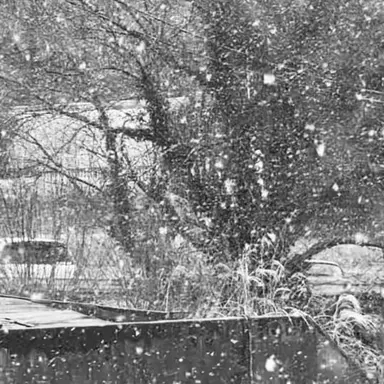 Profile image of それ