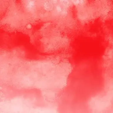 Profile image of りうら