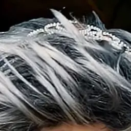 Owydvxjsisnkzxjbs의 환장탑