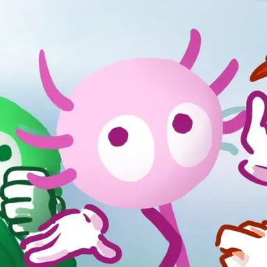 Profile image of 키니토펫