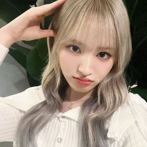리즈선배