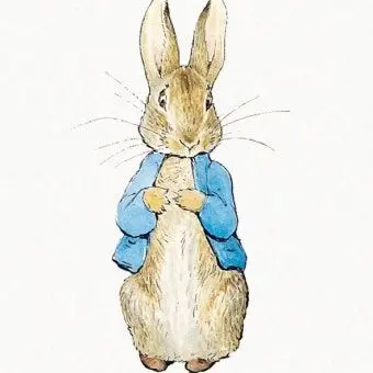 TrendyTabla9487의 '여긴 어디지?'