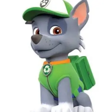 Profile image of Rocky