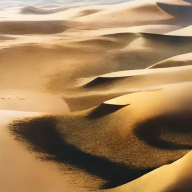 Profile image of アビドス・シュガー