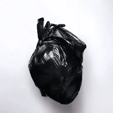 Profile image of 스나 시이키