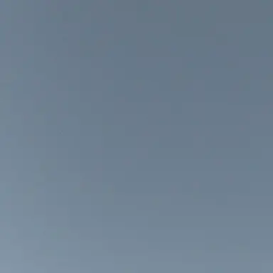 Profile image of 真央