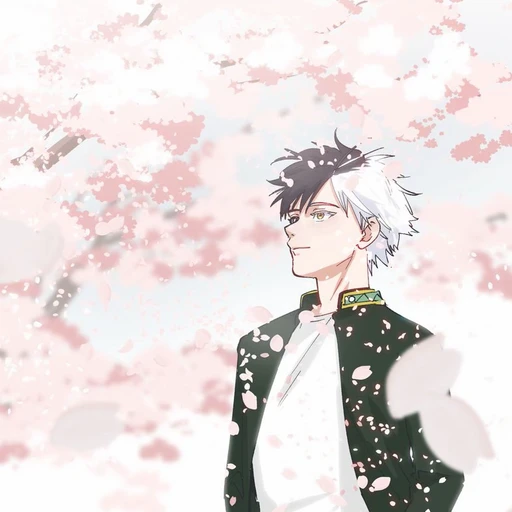 桜遥