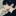 詠