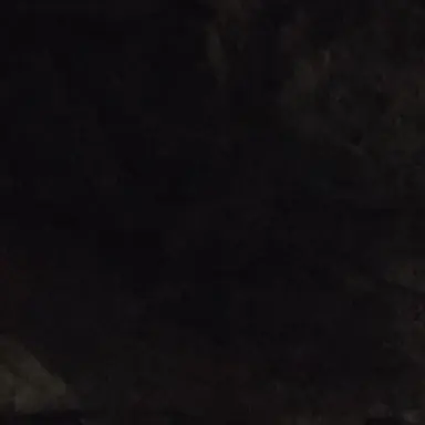 Profile image of 김인후