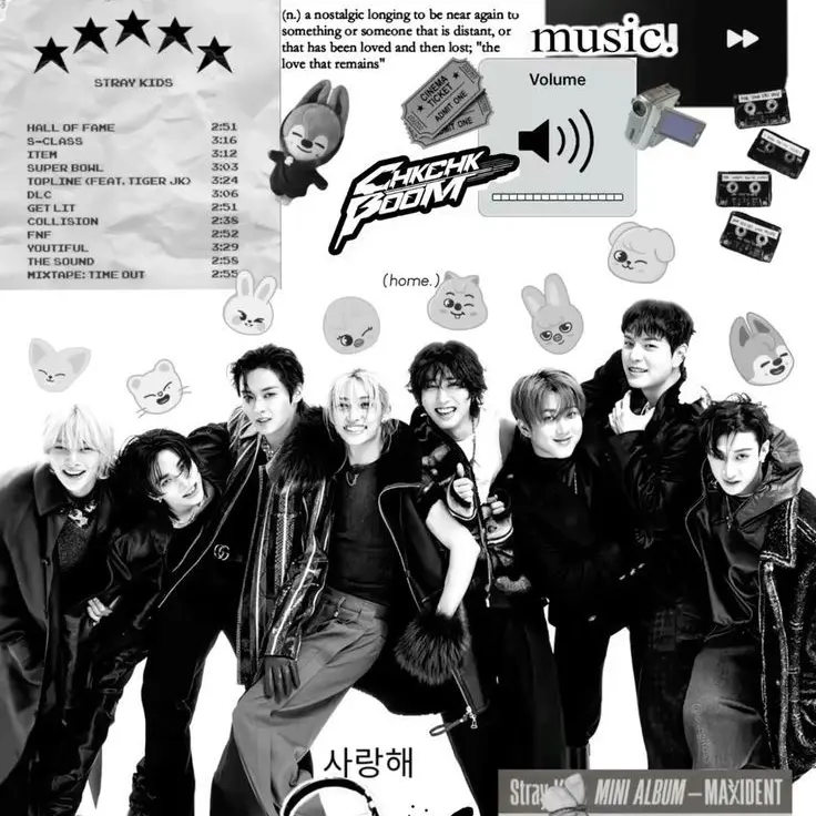 Jihoon_tomie_143의 StrayKids 9th
