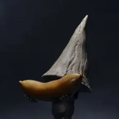 Profile image of ノーム