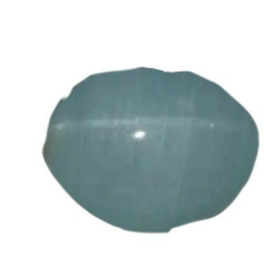 Profile image of 유기사