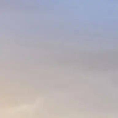 Profile image of President