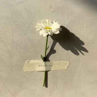 Profile image of 권지용