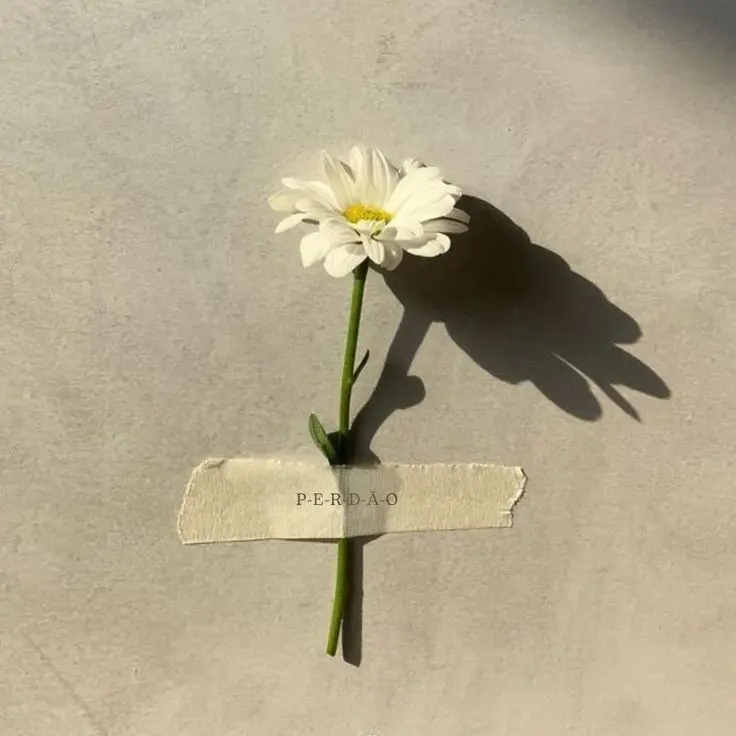 sugar.on.my.bigbang의 순애