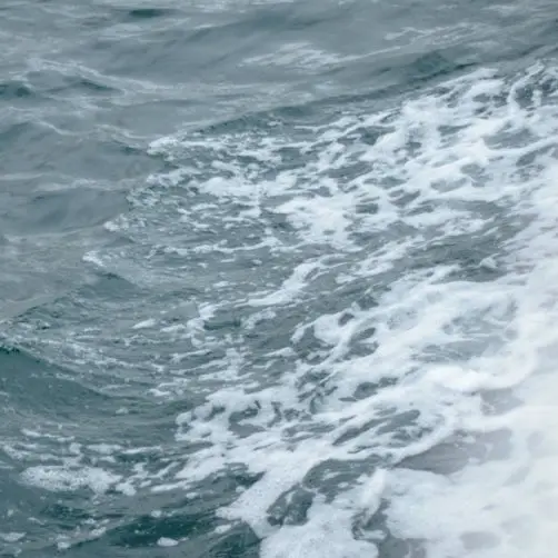 3884ISGAY의 K H N O S S