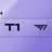 T1 and 여우