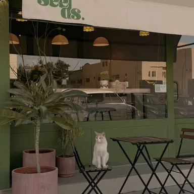 Profile image of 정공룡