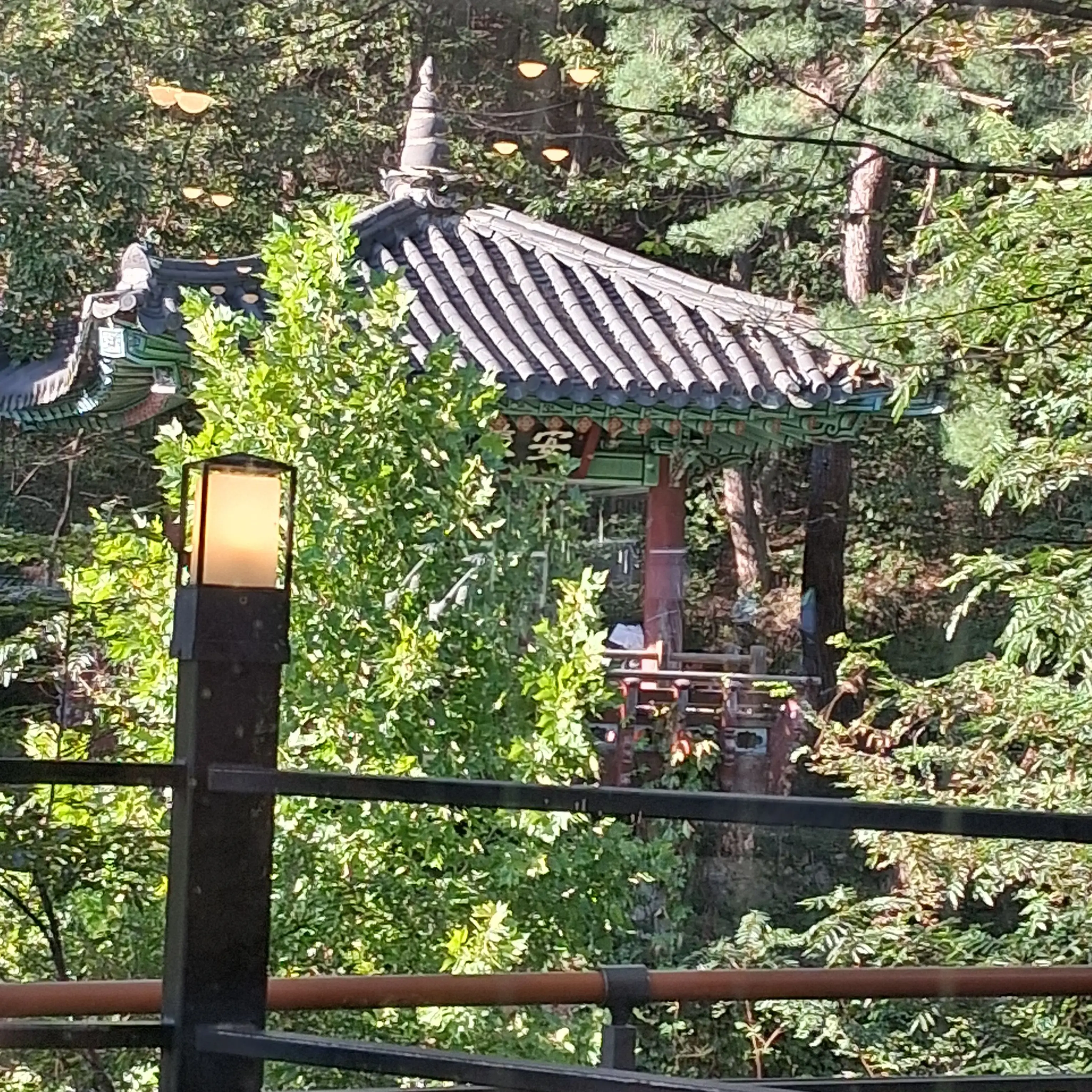 RuralStorm4814의 고고프렌즈 (가족물. 여우 포함)