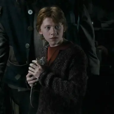 Profile image of Ron Weasley