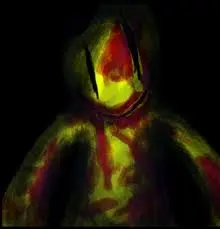 Profile image of Partygoer