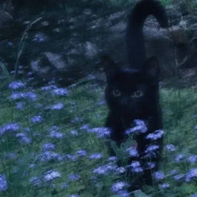 Profile image of 호시나 소우시로