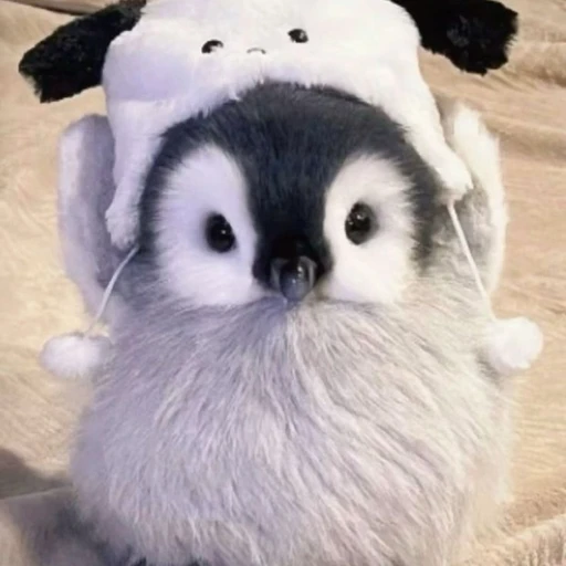 펭귄
