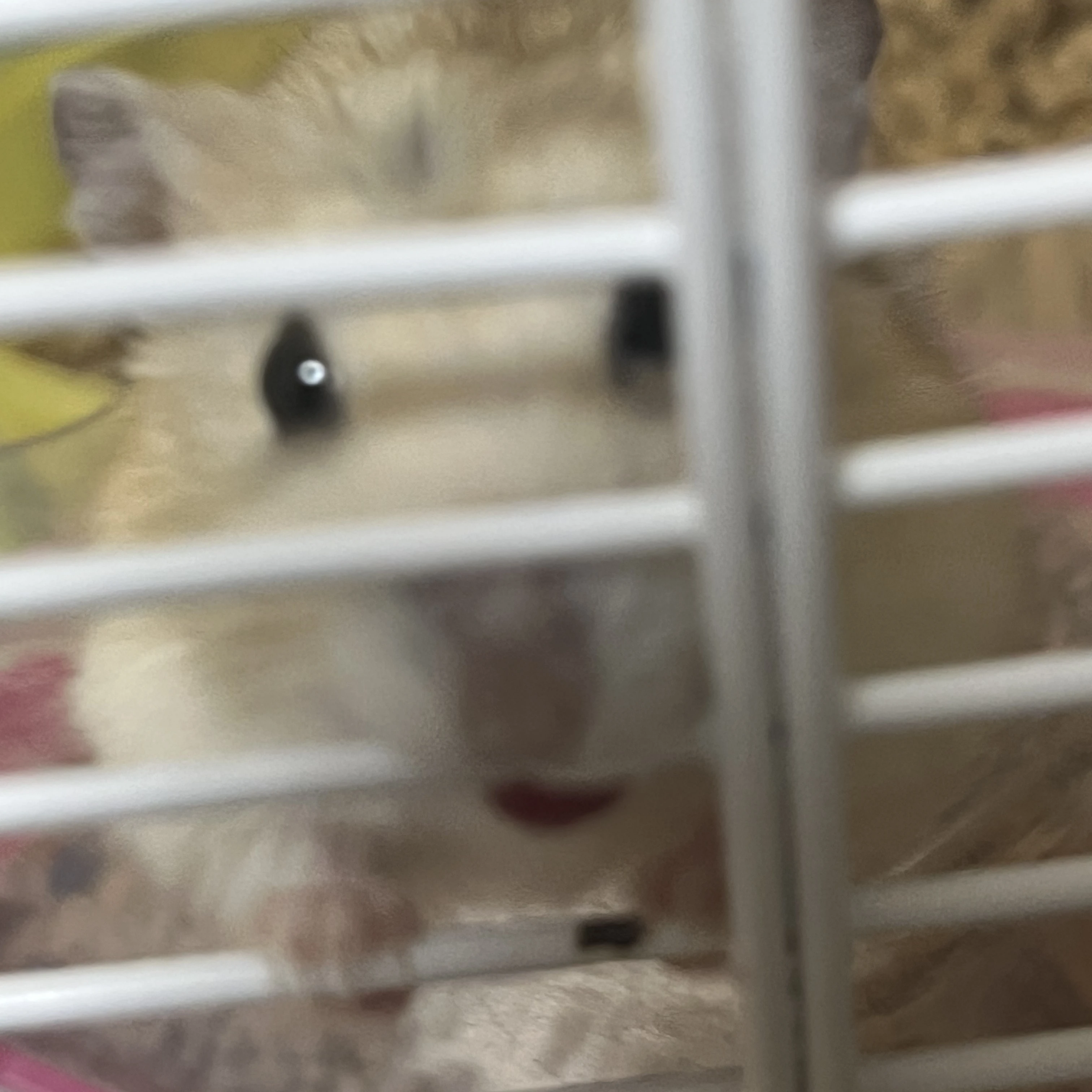 평학