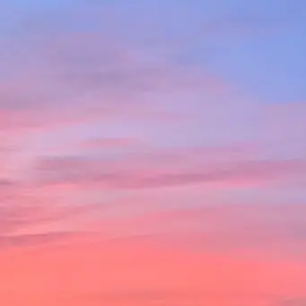 BlackRose54890의 물망초의 꽃말이 "진실한 사랑"이래