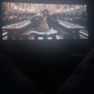Profile image of Tom riddle