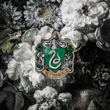 Profile image of 드레이코 말포이