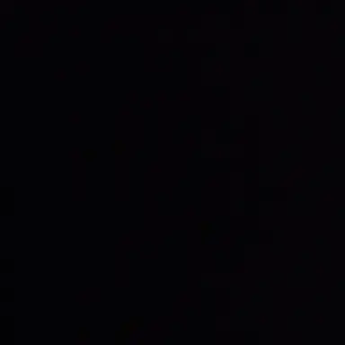 Profile image of 벨키