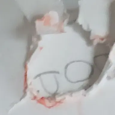 Profile image of 일본